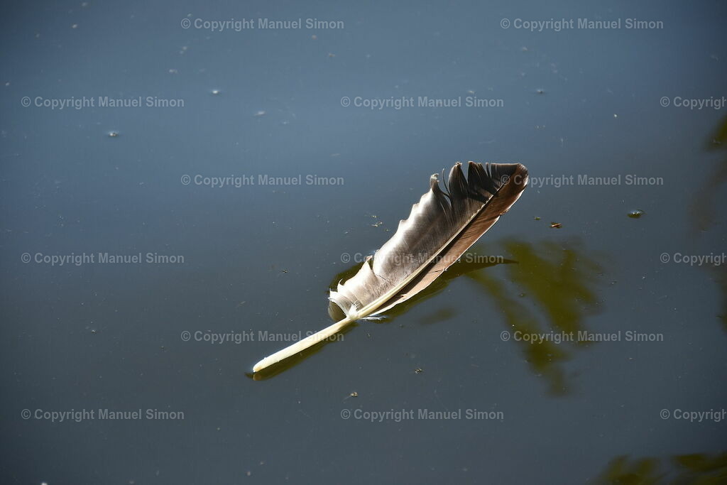 IMG_20170602_175255 | Bildwerk Manuel Simon - Realisiert mit Pictrs.com