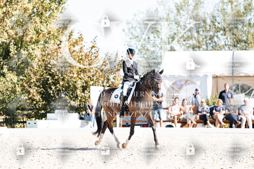 CK909620 | Turnierfotografie Pferdefotografie Trier Rheinland-Pfalz Pferdesport Reitsport Tierfotografie Sportfotografie Pferdevideo Pferdevideografie Equestrianvideography equestrianphotography  - Realisiert mit Pictrs.com