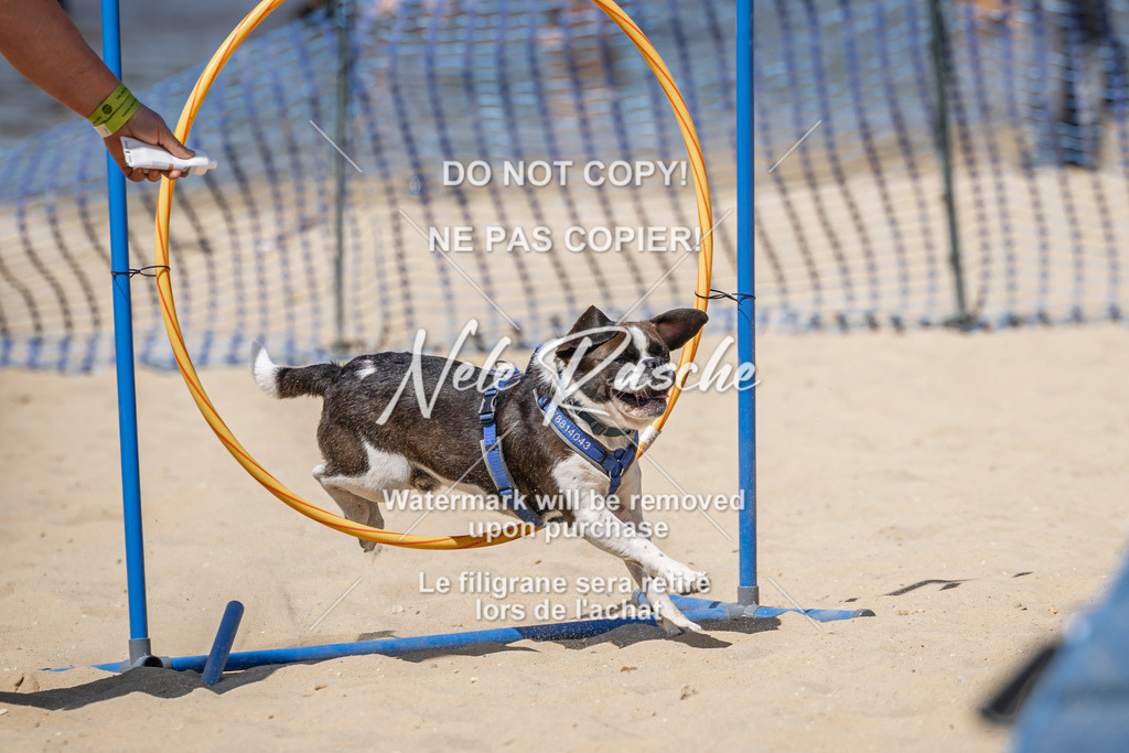 nelerasche_saBeachility_695 | nelerasche