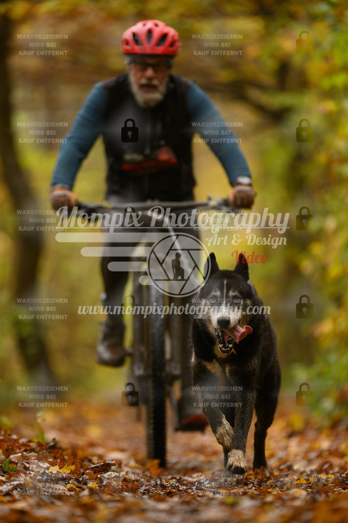 MompixPhotography_CD7S_DI_Bike-49 | mompixphotography
