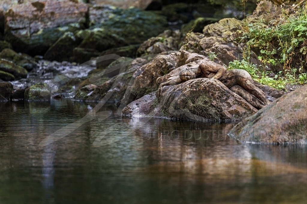 NatureArt-RIVERROCK_0114 | Nahe dem Wasser | #002 | Modell: Jasmin | Foto: Dennis Largo Schulz - Realisiert mit Pictrs.com
