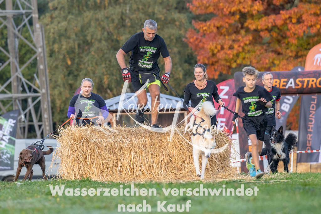 0858_ZZ91915-Bearbeitet | kk-dogfotos