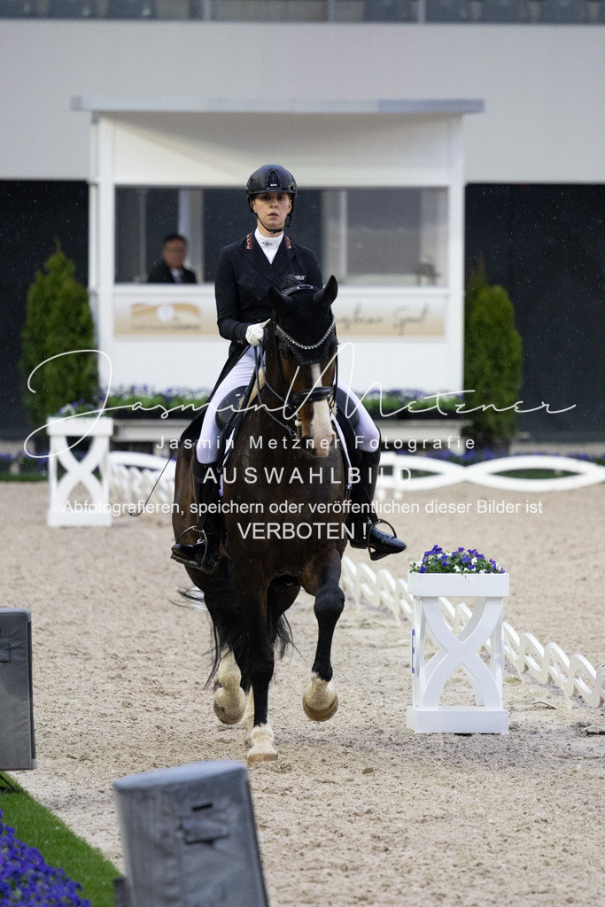 126A3191 | jasminmetznerfotografie