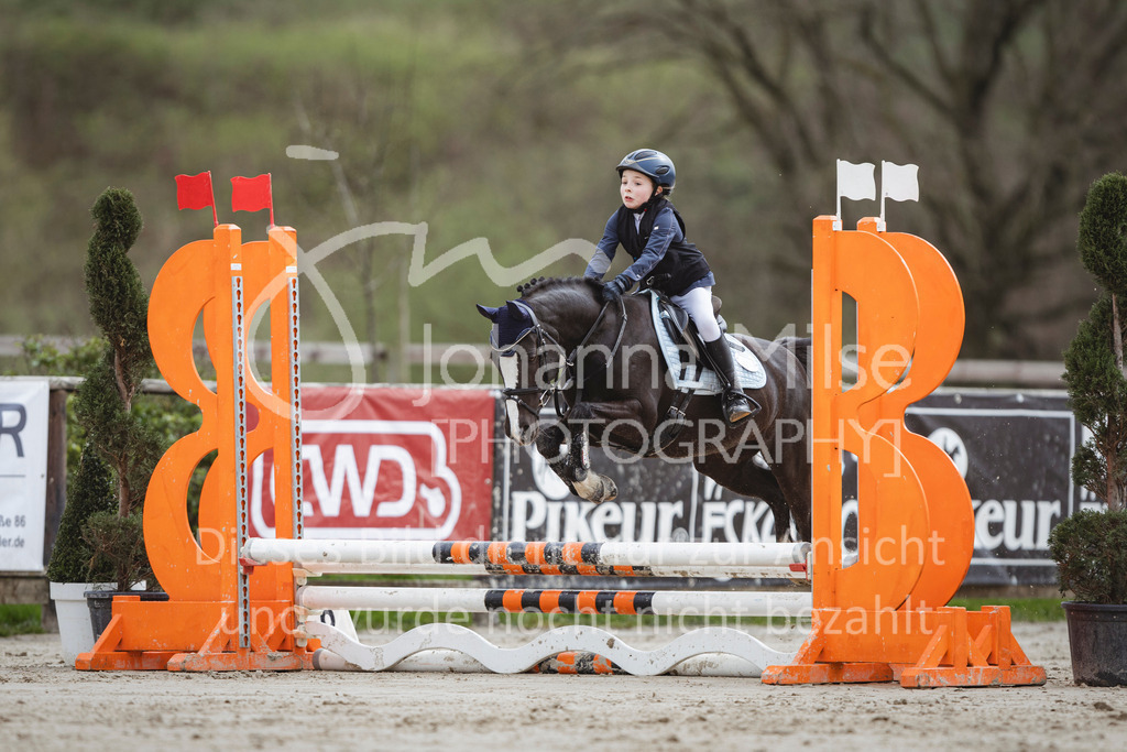 240330_Fruehlingsfest_Stilspring-WB-564 | Deine schönsten Turniermomente als professionelle Fotos! Entdecke hochwertige Pferdesport-Fotografie im Online-Shop. Jetzt Fotos finden & bestellen!