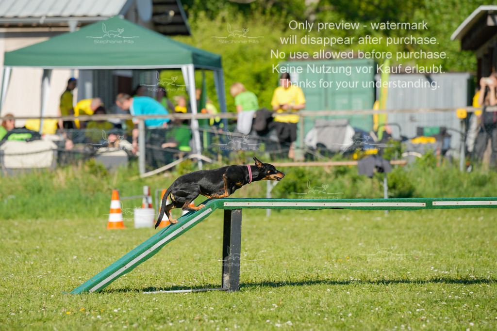 Sa_CSC-469 | stephaniefillaphotographie - Realisiert mit Pictrs.com