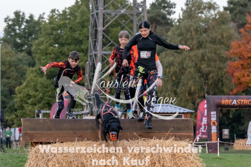 0801_ZZ93873-Bearbeitet | kk-dogfotos