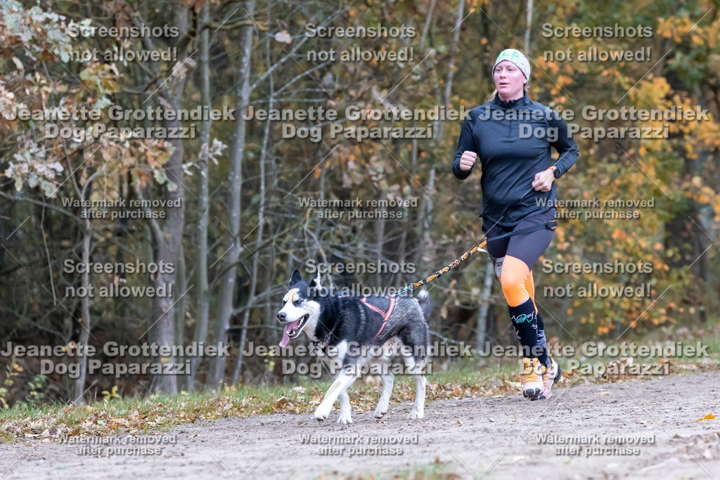 Dog Paparazzi - SD CaniX Championship 2025-560 | Dog Paparazzi Jeanette Grottendiek Fotografie & Videografie - Realisiert mit Pictrs.com