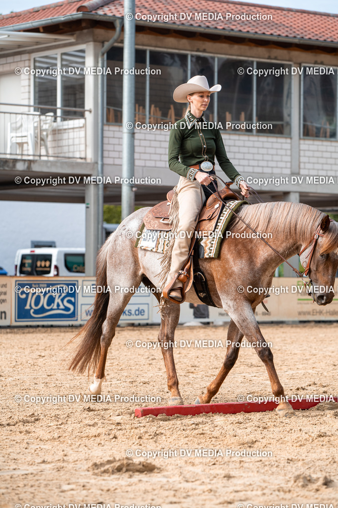 EWP_5722 | dv-media-shop - Realisiert mit Pictrs.com