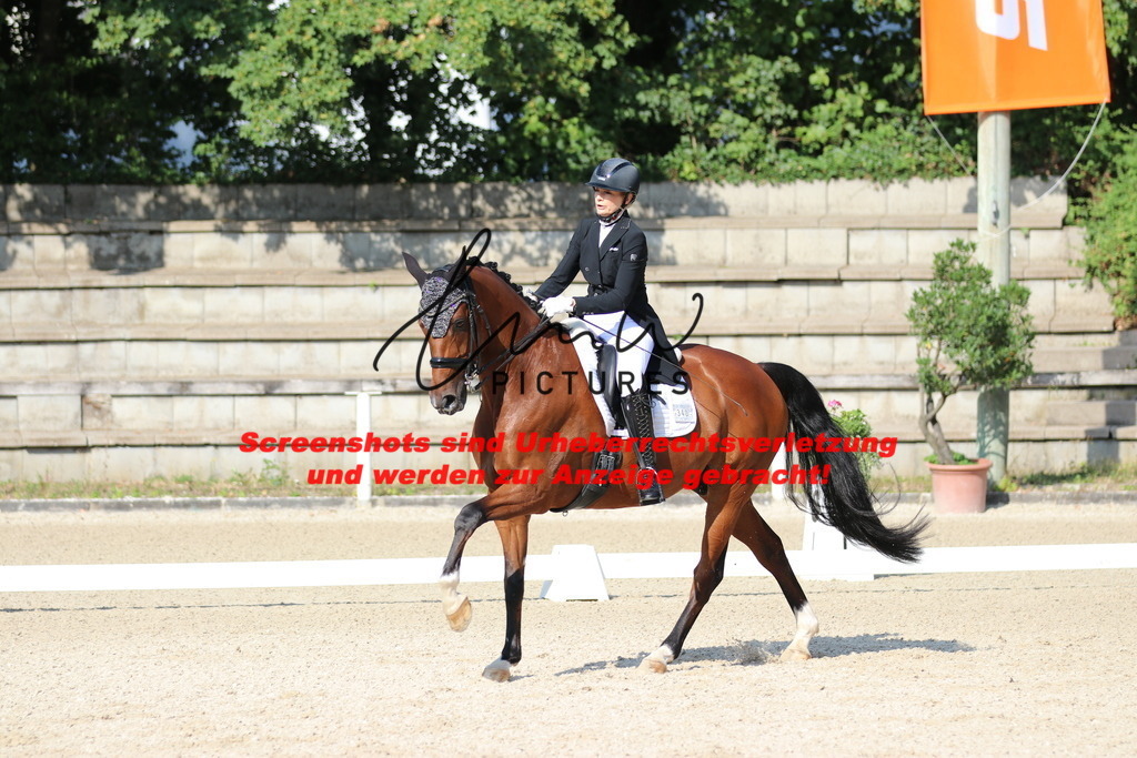 IMG_9134 | lmwpictures - Realisiert mit Pictrs.com