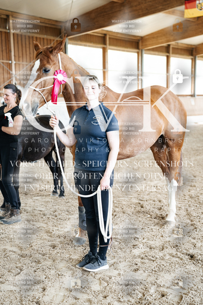 CK703257 | Turnierfotografie Pferdefotografie Trier Rheinland-Pfalz Pferdesport Reitsport Tierfotografie Sportfotografie Pferdevideo Pferdevideografie Equestrianvideography equestrianphotography  - Realized with Pictrs.com
