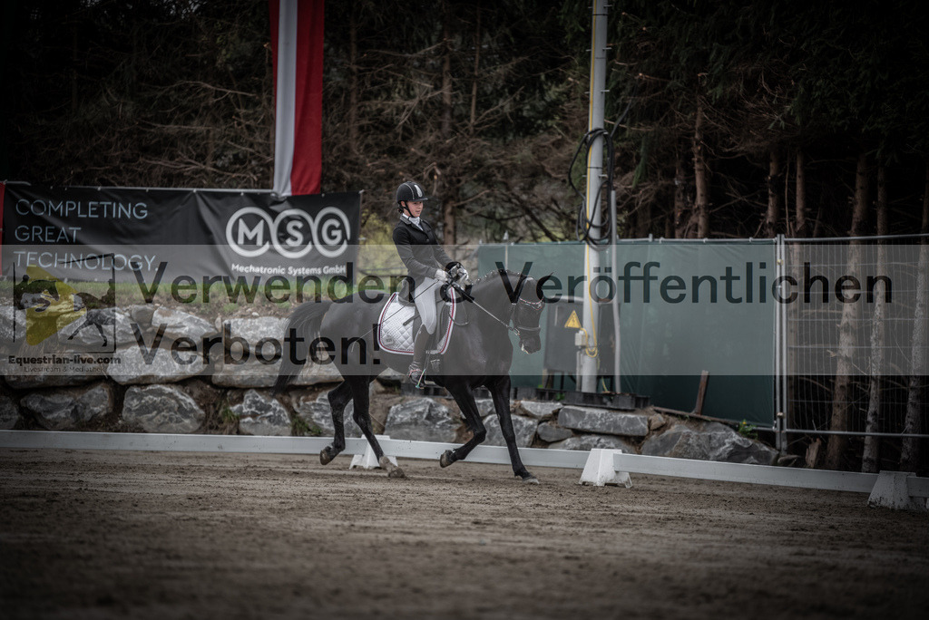 DSC_9485 | equestrian-live-com