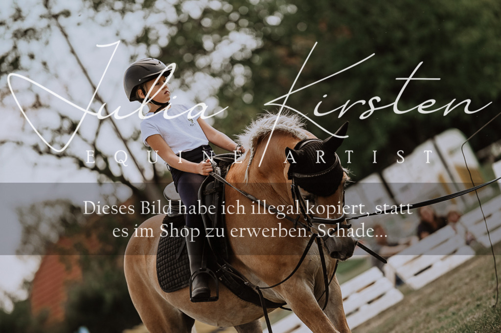 DSC_7690 | Pferde- und Turnierfotografie in Westsachsen. Pferdeportraits, Auftragszeichnungen und intuitive Kunst.