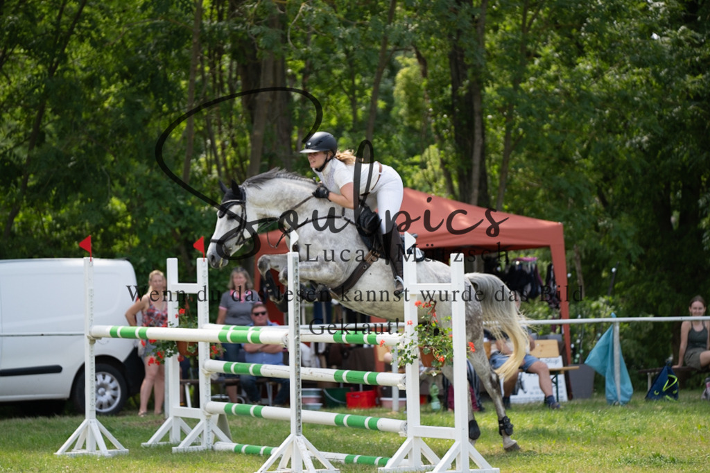 A7V07326 | Pferdefotograf