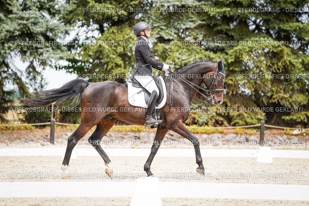 DSC05765 | Pferdegrafie