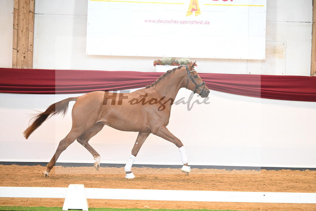 Kat-Nr. 28 v. Erdinger_Schuhmacher_66220806 | hf-fotografie - Realisiert mit Pictrs.com