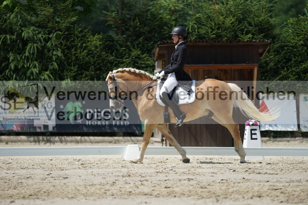 DSC05271 | equestrian-live-com