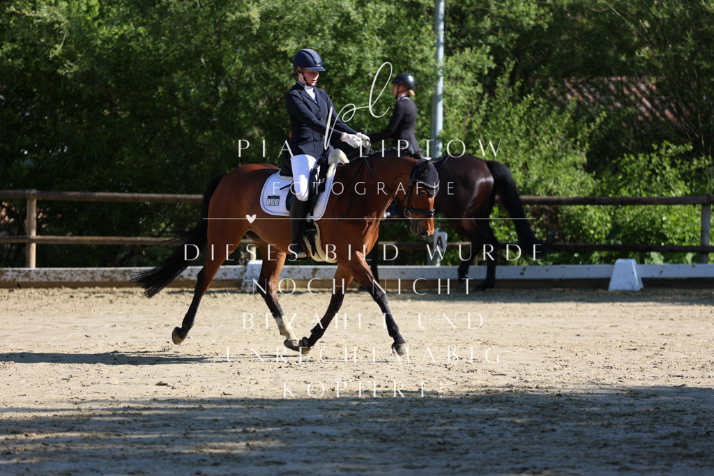 IMGT9635 | pl-fotografie