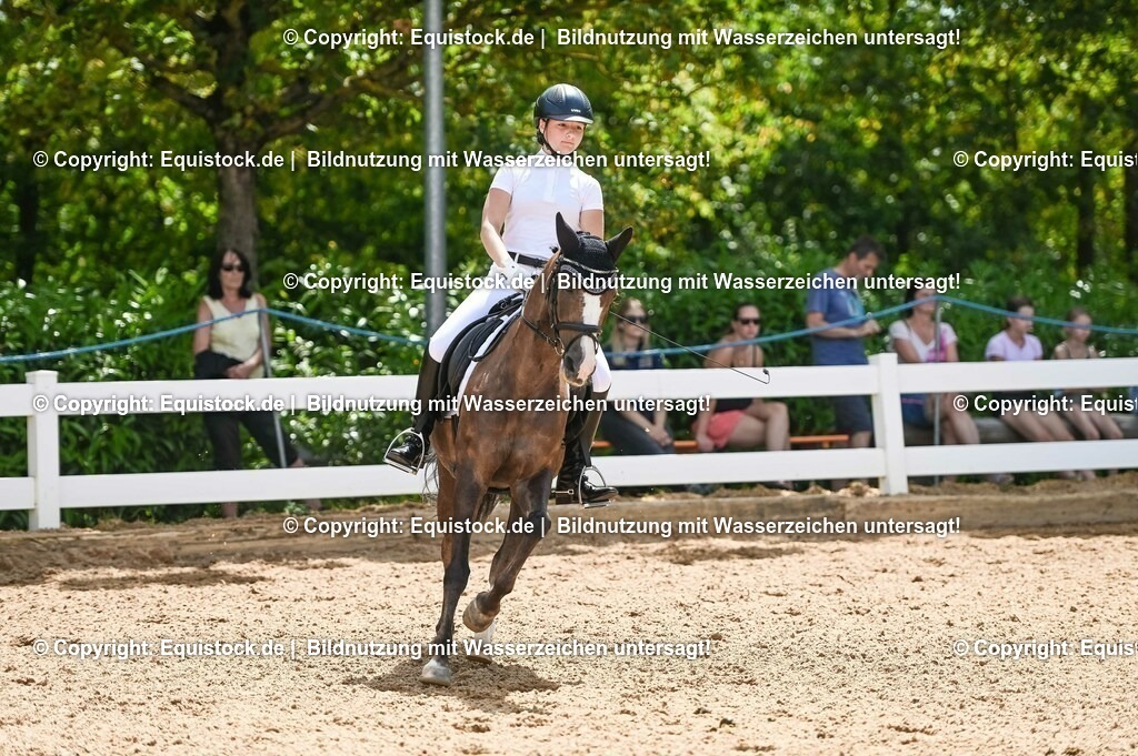 20230715_09_Dressur-WB_0173 | equistock