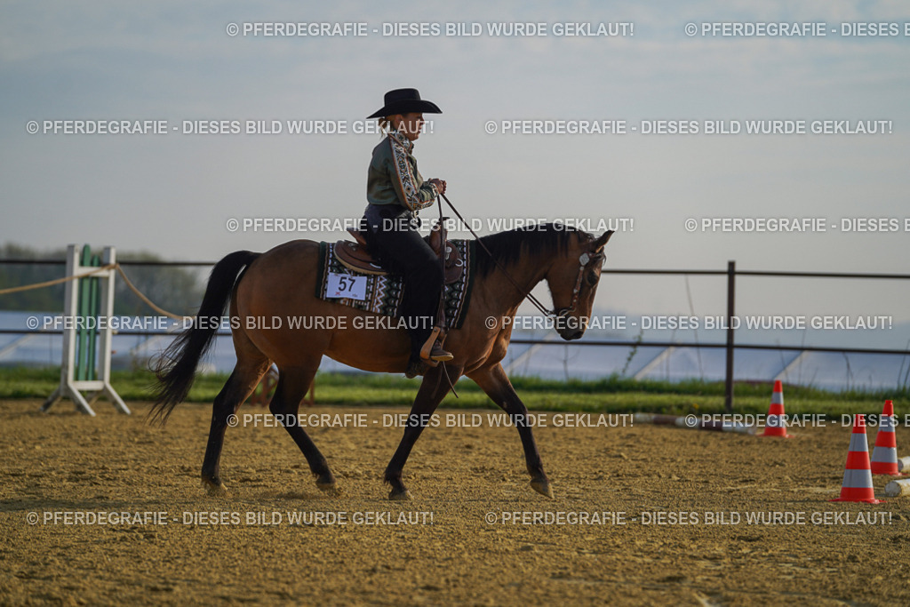 DSC00480 | Pferdegrafie