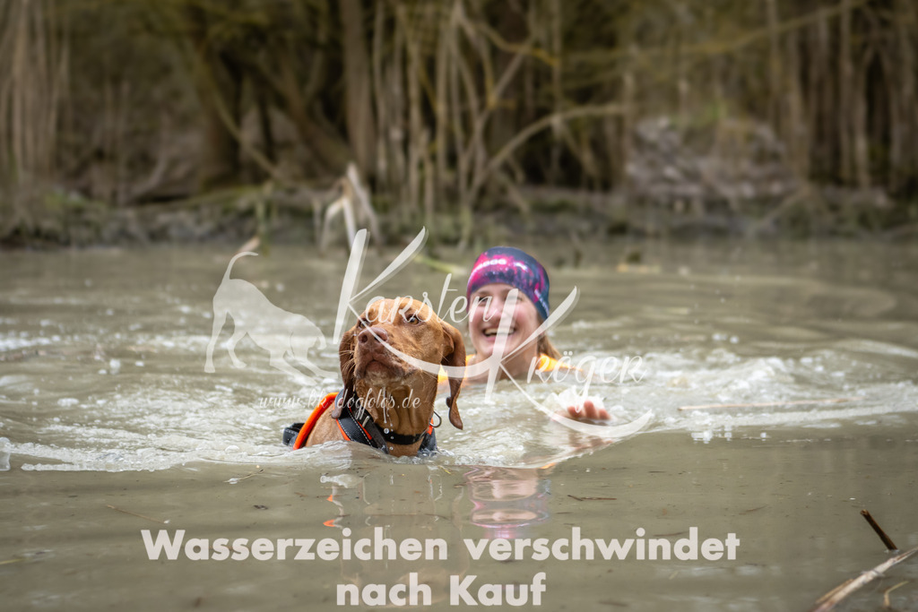 1533_ZZ93272 | kk-dogfotos