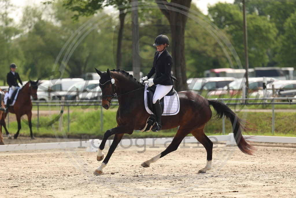 994A6394 | sabrinanicolaifotografie - Realisiert mit Pictrs.com