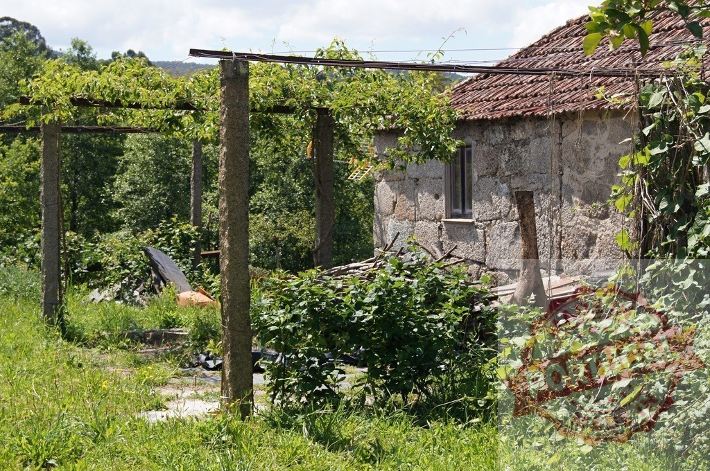Stone house with overgrown rustic pergola in countryside | Rural stone house with a rustic pergola covered in lush green vines, surrounded by wild nature - Realized with Pictrs.com