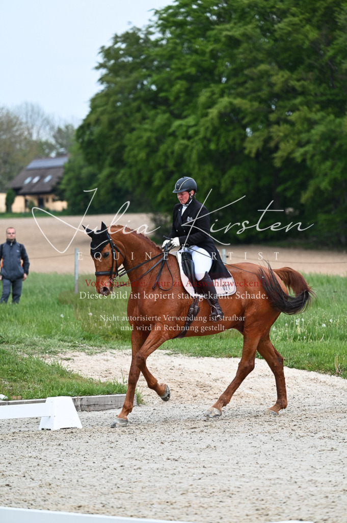 20230513_JK-Röhrsdorf-12-220-2 | Pferde- und Turnierfotografie in Westsachsen. Pferdeportraits, Auftragszeichnungen und intuitive Kunst.