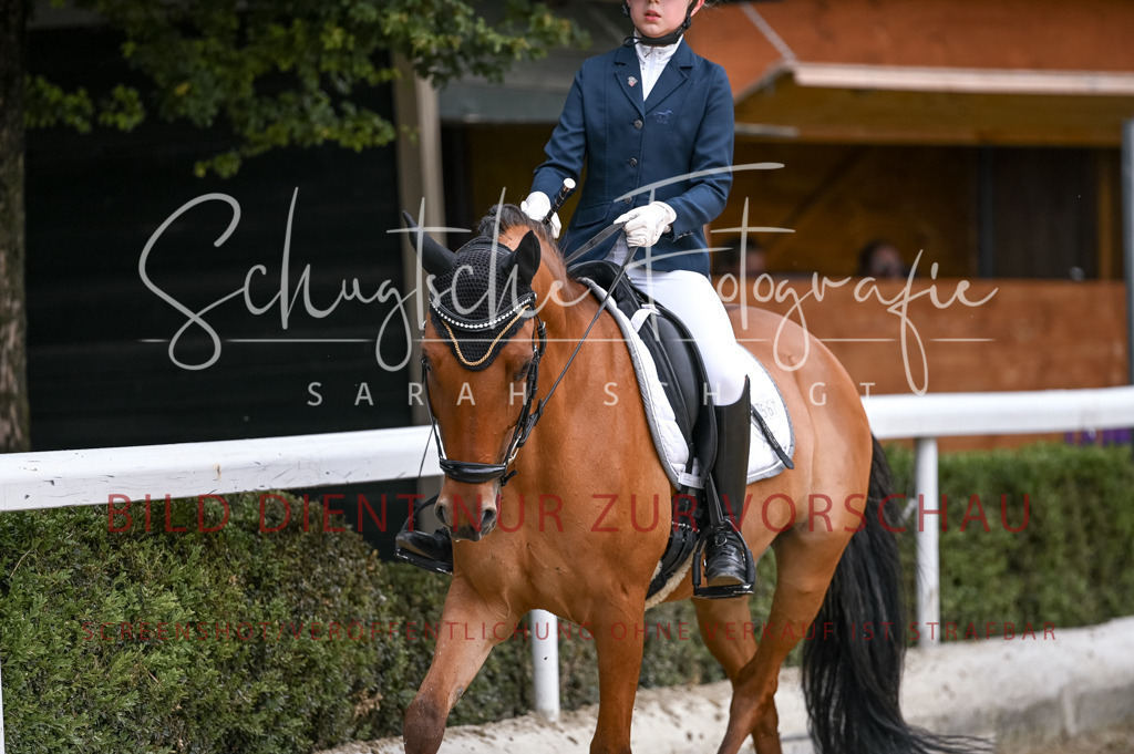 Schugtsche-Aluta25-42.EDressur -369 | Schugtsche Fotografie - Realisiert mit Pictrs.com