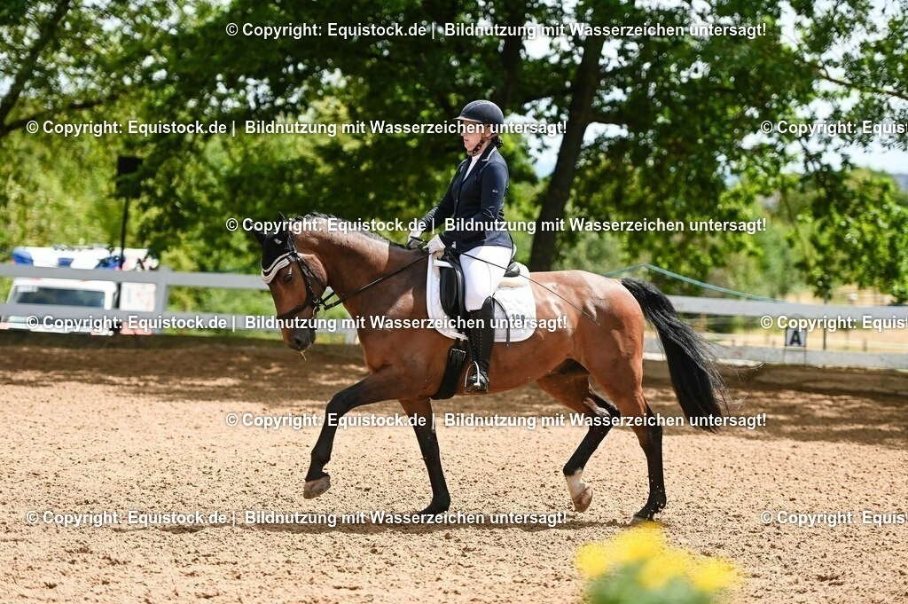 20230716_03_Dressurprfg. Kl.L - Tr._0666 | equistock