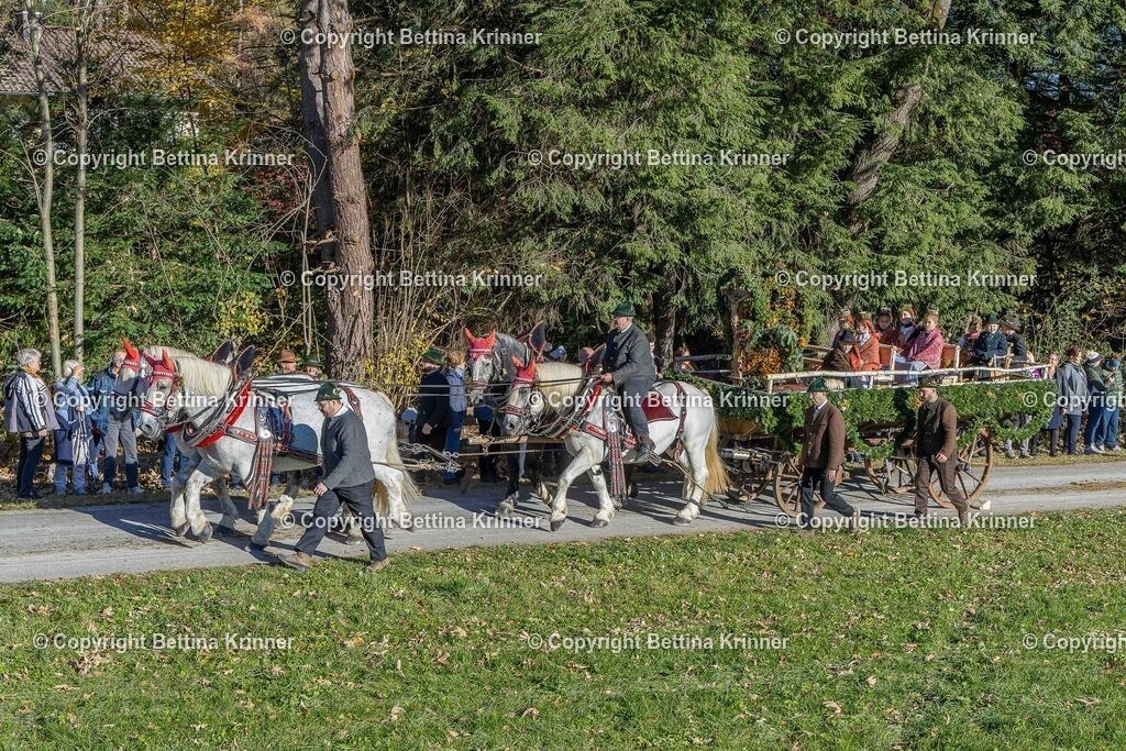 LBT25-593 | foto-bettina-krinner - Realisiert mit Pictrs.com