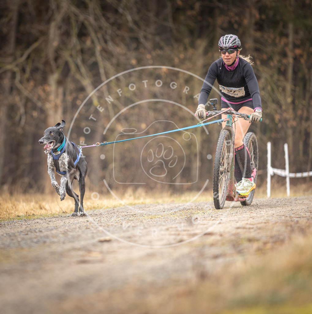 DV3A3157 | Hundefotografie, Tierfotograf, Pfotenfotografie, Fotoshooting Hund, Hunde Portrait, Hundesport, Hundeportraits, Heideshooting, Hunde, Sportfotograf, Hundefotograf, Turnierhundsport, THS,  - Realisiert mit Pictrs.com