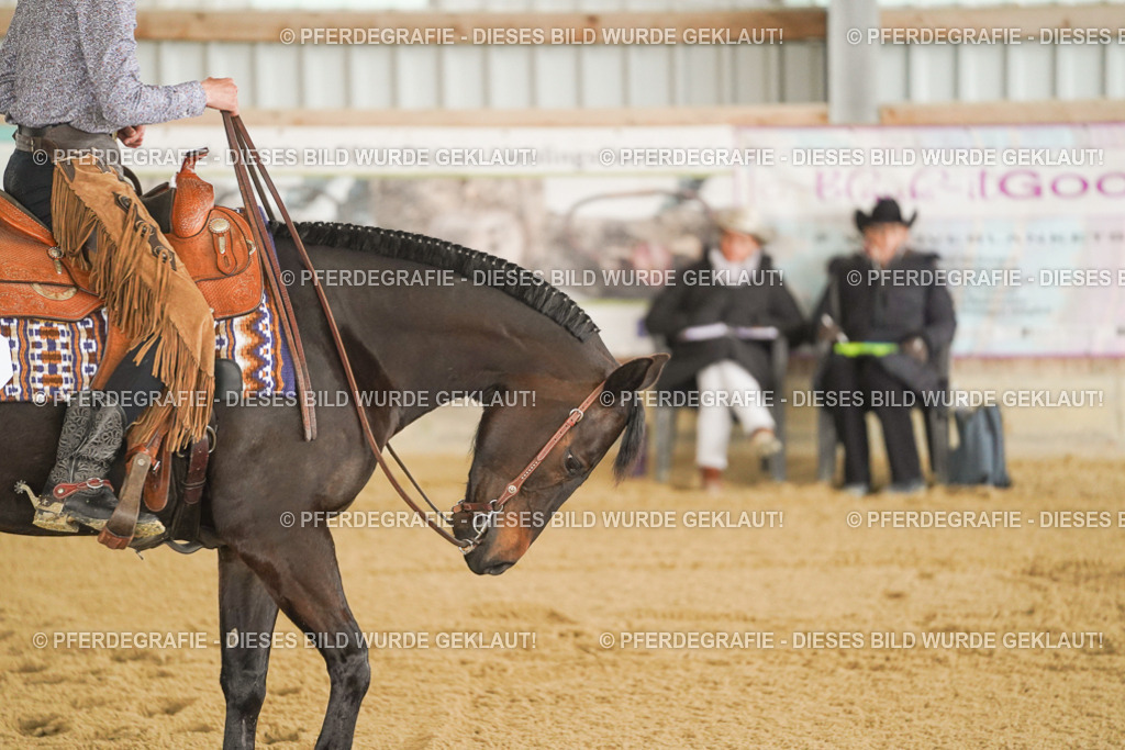 DSC04143 | Pferdegrafie