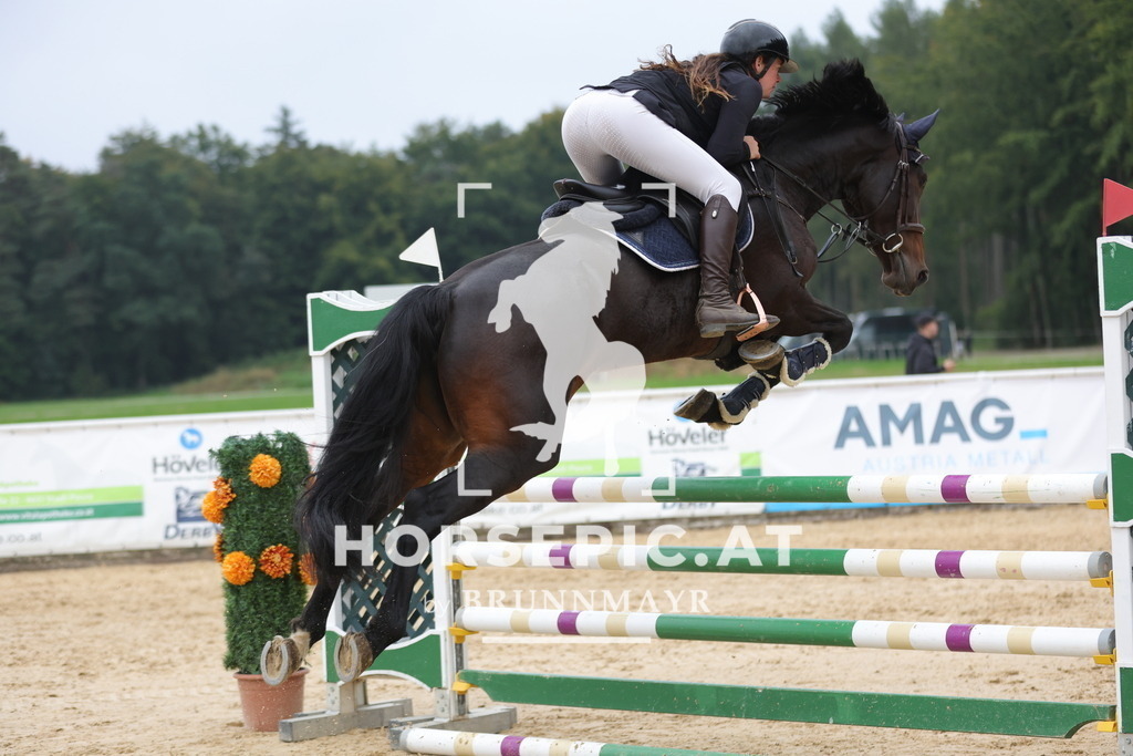 0P6A6294 | Willkommen bei Brunnmayr - Design & Fotografie – Ihrem Spezialisten für Reitturniere und Pferdeveranstaltungen in Oberösterreich, Salzburg und Bayern! Seit über 17 Jahren sind wir leidenschaftlich dabei.