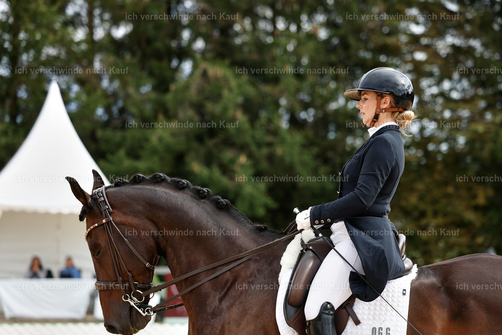 11-066-Dressur S___-StoibPH-1238 | working equitationturnier fotograf videograf stoibphotography marixx film working equitation deutschland reitsport turnierfotografie eventfotografie equestrian events