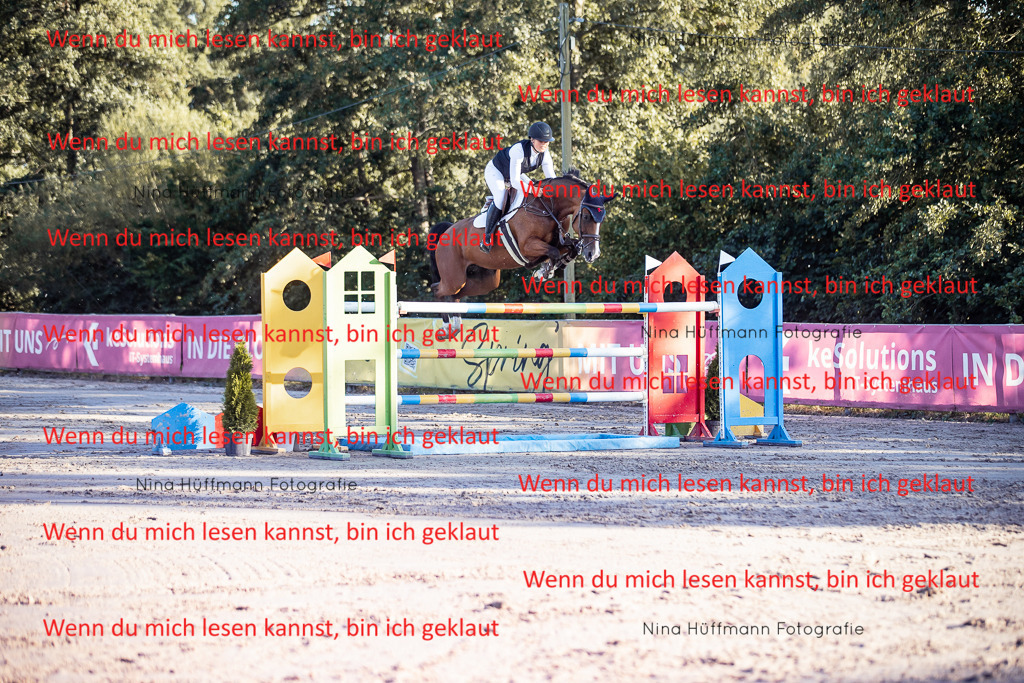 BK1A8813 | Turnierbilder Turnierfotos Nina Hüffmann Turnierfotografie Pferdefotografie Tierzeichnung Haustierzeichnung Pferdezeichnung Hundezeichnung Videograf  - Realisiert mit Pictrs.com
