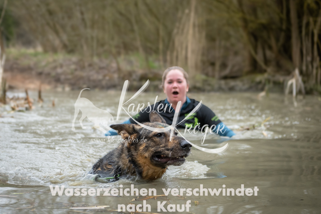 1542_ZZ94053 | kk-dogfotos