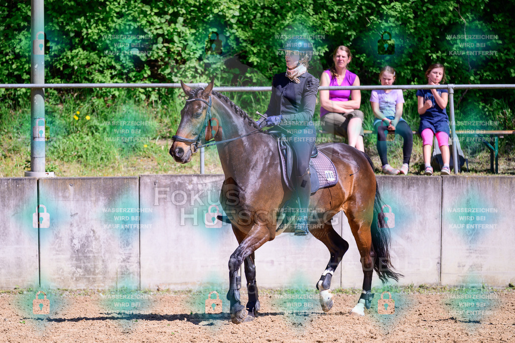01052026-Giesenbach-02-Stiltrail-0454 | Fokus Hufschlag Fotografie - Realisiert mit Pictrs.com
