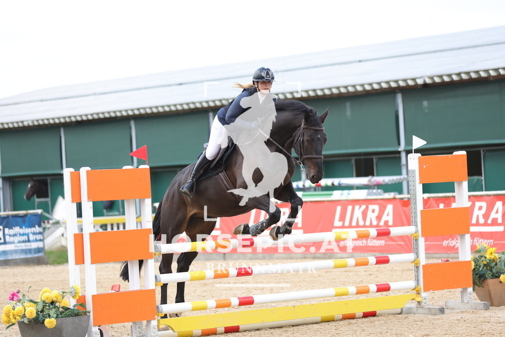0P6A2826 | Willkommen bei Brunnmayr - Design & Fotografie – Ihrem Spezialisten für Reitturniere und Pferdeveranstaltungen in Oberösterreich, Salzburg und Bayern! Seit über 17 Jahren sind wir leidenschaftlich dabei.