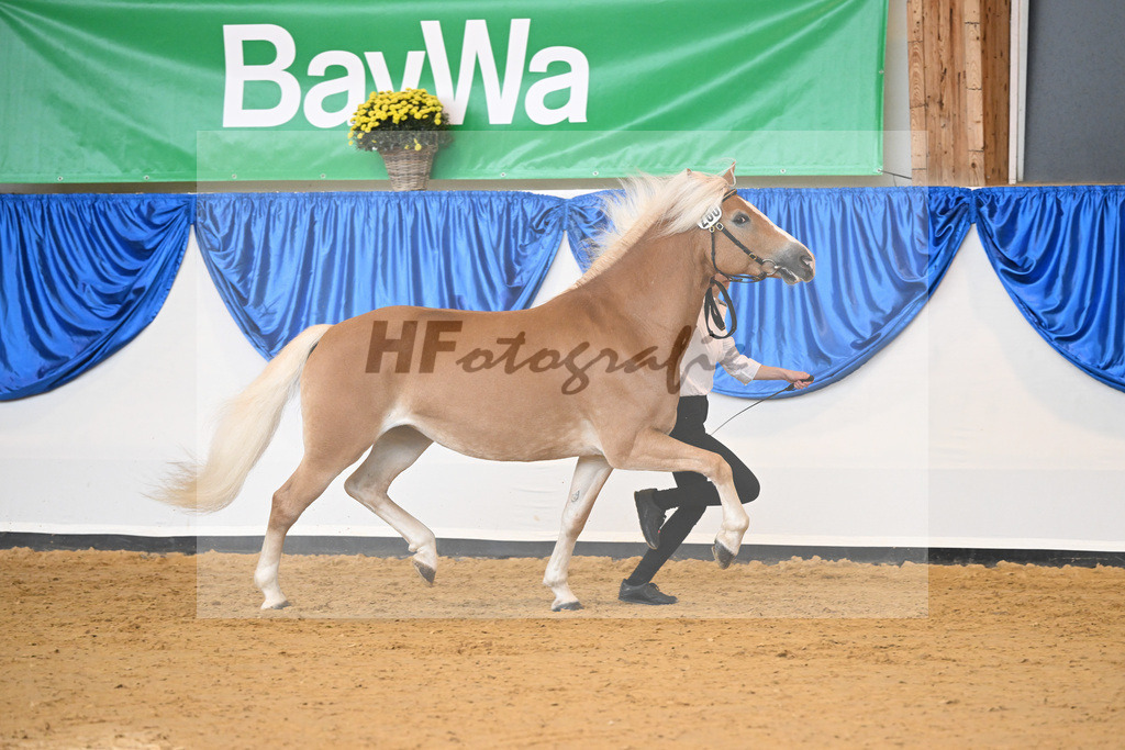 Kat-Nr. 260 Okara_Kargel_54223157 | hf-fotografie - Realisiert mit Pictrs.com