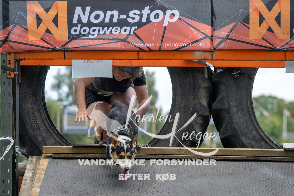 1309_ZZ94591 | kk-dogfotos