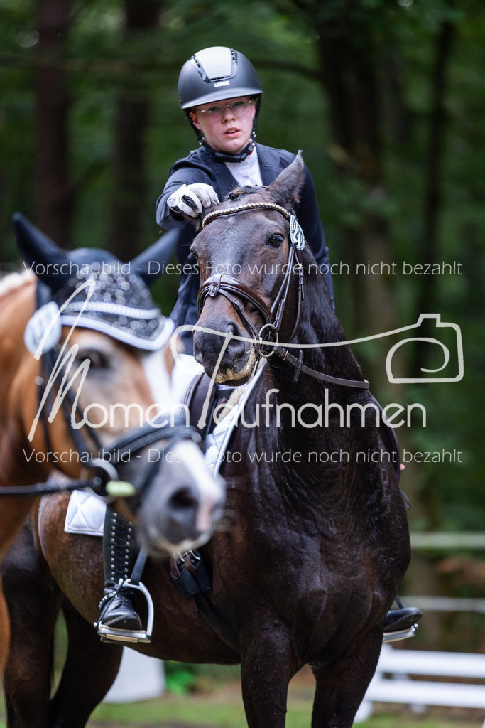 HB-A-Dressur-137 | MomenTaufnahmen Pferdesportfotos