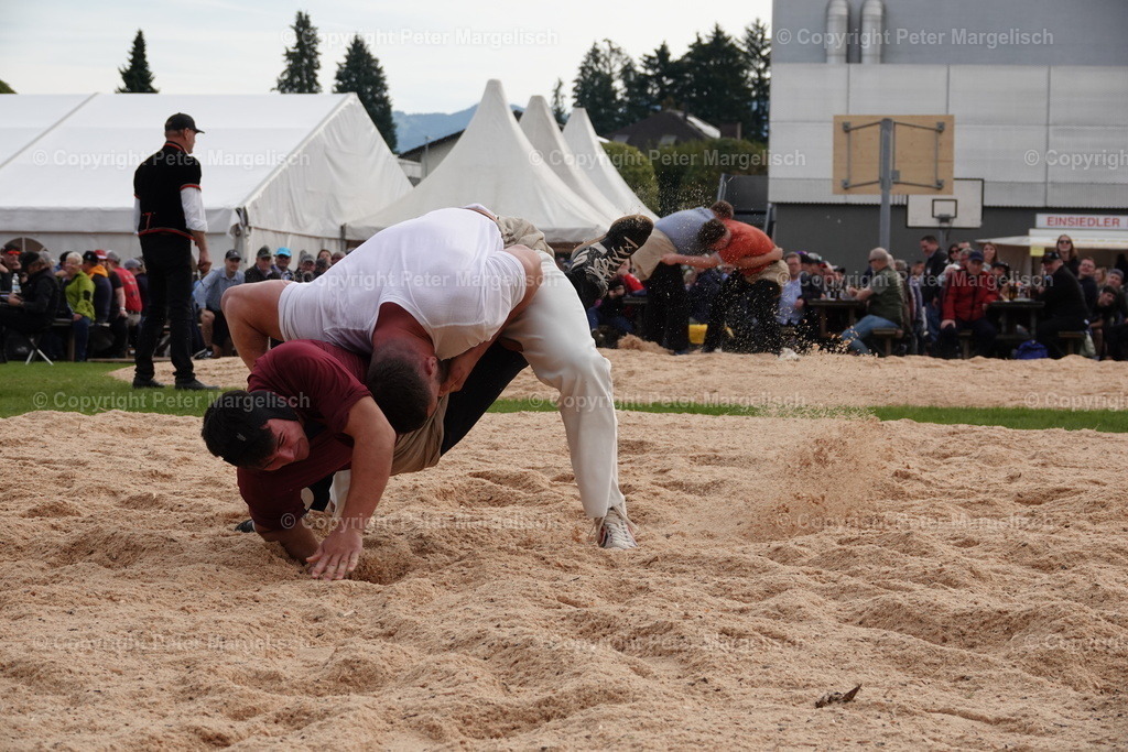DSC08467 | Schwingen - Realisiert mit Pictrs.com