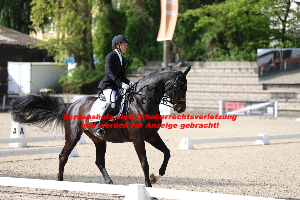 A40A3789 | lmwpictures - Realisiert mit Pictrs.com