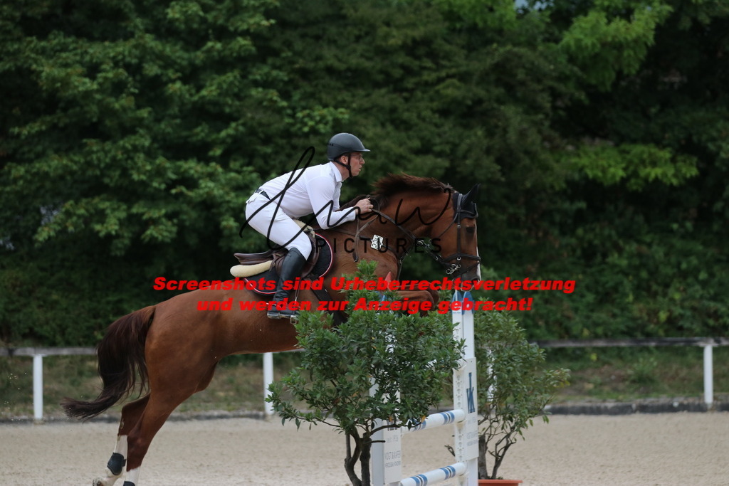 IMG_2973 | lmwpictures - Realisiert mit Pictrs.com