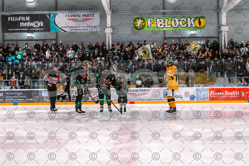 Alligators_vs_Toelz_18_11_2025-23 | Höchstadt Alligators Fotogalerie: Eishockey-Action aus Franken. Professionelle Spielfotos, Portraits & Stadionbilder zum Download. Jetzt entdecken! - Realisiert mit Pictrs.com