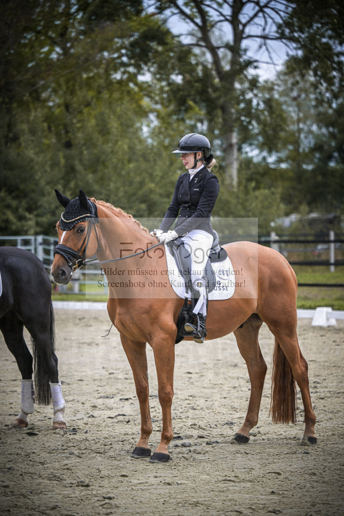 DOS_0019 | Entdecke hochwertige Reitturnierfotos von Foto Oger. Professionell, emotional und authentisch – jetzt Lieblingsmomente im Shop bestellen.Deutschlandweite Turnierfotografie. - Realisiert mit Pictrs.com