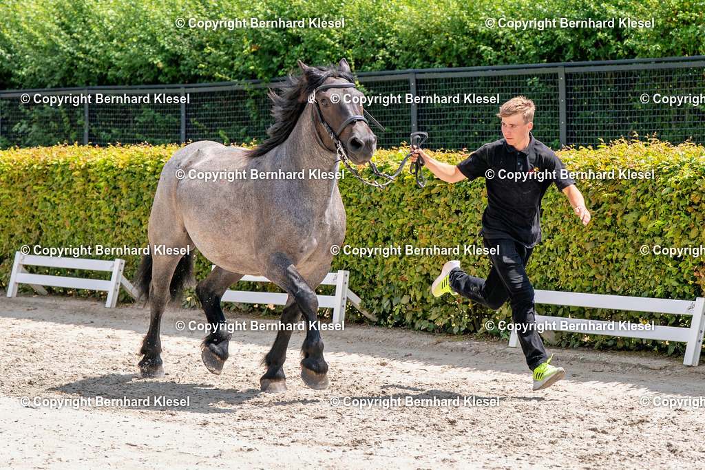 2A901065 | foto-team-bernhard - Realisiert mit Pictrs.com