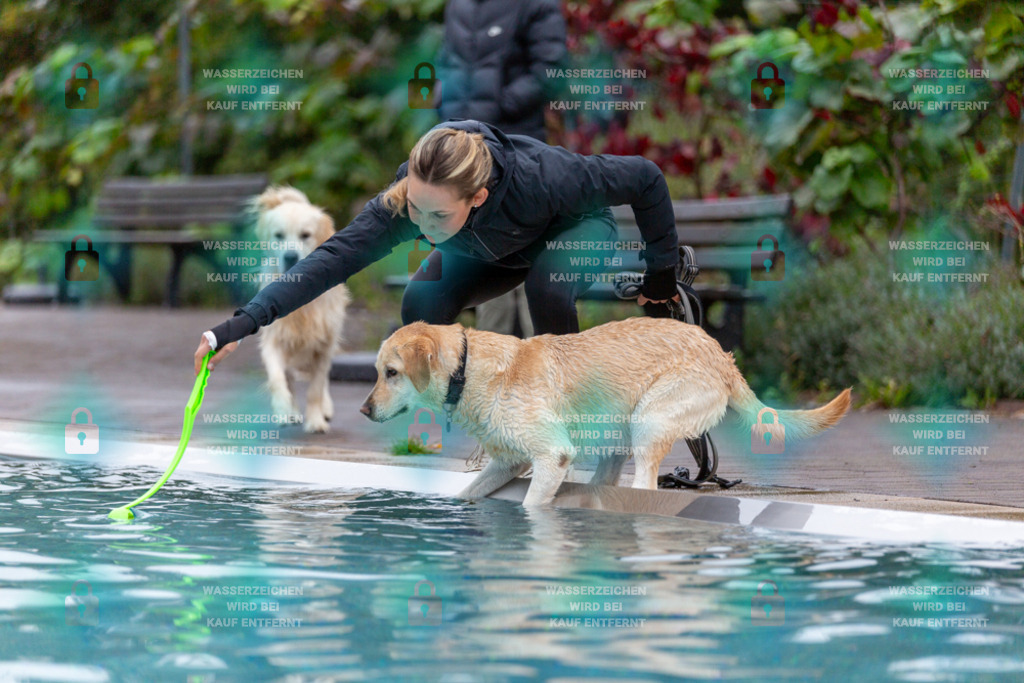 _HP_7156_1000o | HetPix, HetPix Fotodesign, Fotografie, Fotodesign, Webshop, Sportfotografie, Portraitfotografie, Onlineshop, Sportfotografie, Polch, Motorsportfotografie, Eventfotografie