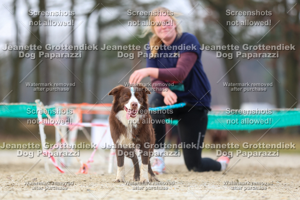Dog Paparazzi - Strongdog North Mrz26-4007 | Dog Paparazzi Jeanette Grottendiek Fotografie & Videografie - Realisiert mit Pictrs.com