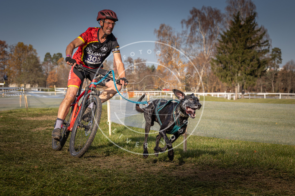 CaniXpix_0L8A7131 | Hundefotografie, Tierfotograf, Pfotenfotografie, Fotoshooting Hund, Hunde Portrait, Hundesport, Hundeportraits, Heideshooting, Hunde, Sportfotograf, Hundefotograf, Turnierhundsport, THS,  - Realisiert mit Pictrs.com